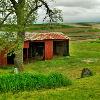 Typical Iowa farm setting.
Pottawattamie County.