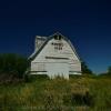 Frontal view.
1959 horse barn.
Woodbury County.