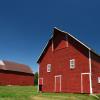 Beautifully painted horse barn
& farm equipment buildings.
Near Kingsley, Iowa.
