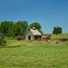 Typical western Iowa scenery.
Woodbury County.