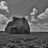 Typical central Iowa scene.
Dallas County.