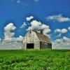 1950's dell-loft barn.
Near Dalas Center, Iowa.