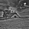 Early 1900's stable barn.
Poweshiek County, IA.