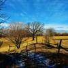 Iowa "draw" in January (near Westfield, Iowa)