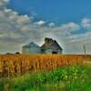 Classic old storage barn & silo.
Harrison County.