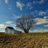 'Lonely setting'
Sioux County, Iowa.