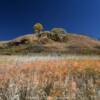 A mound along the
Loess Hills.
Monona County.