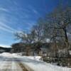 Monona County backroad.
Near the landmark barn.