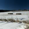 February in a hay field.
Monona County.