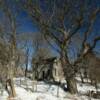 1888 farm house remnants.
Monona County.