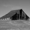 Old tattered 1940's loft barn.
Pottawattamie County.