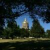 Another peek through the pines at the State Capitol
in Des Moines, Iowa.