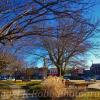 Pella, Iowa
(Town square)