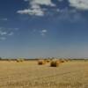 Harvested hay bails.
Near Kalvesta, KS.