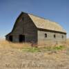 Old hay barn.
(built in the 1950's)
Hodgeman County, KS.