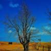 Charming backroad scene-near Ellsworth, Kansas