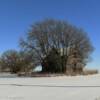 'Ghost farm'
Northern Kansas.