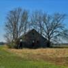 Eerie old barn in the 
overgrown brush near 
Labette, Kansas.