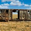 Long abandoned old freight car.
Pawnee County, KS.