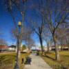 Paola, Kansas~
Town Square & Park.
(In March)