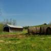 Hillsboro/Grange City Covered Bridge.
(Built 1868)
Near Hillsboro, KY.