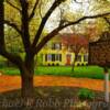 Early spring in Bardstown, Kentucky~