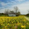 Central Kentucky ranch home.
(near Elizabethtown, KY).