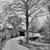 Switzer Covered Bridge.
(from around the 'bend')
Central Kentucky.
