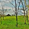 Lush green central Kentucky
scenery.
Near Georgetown, KY.