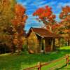 Tiny summer cottage-near Greenville, Maine