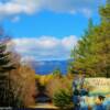 Maine's Northern Woods and Long Fellow Mountains...