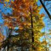 Eastern Maine in late autumn-near Calais, Maine