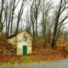 Foxcatcher Farm~
Near Fair Hill, Maryland.