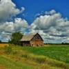 Early 1900's delapidated barn~
Near Crystal Valley, Michigan.