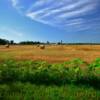 Mid-Hay Harvest~
Near Nottawa, Michigan.