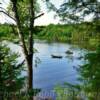 Lower Tahquamenon Lake~
Near Tahquamenon Falls.