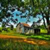 Early 1900's storage building~
Near Maple Grove, Michigan.