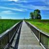 Pointe Aux Gras Boardwalk~
Eastern Michigan--Lake Huron.