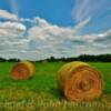 Summer hay field~
Near McGregor, MN.