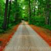 Scenic secluded road~
Itasca County, Minnesota.