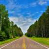 Minnesota's Gunflint Highway~
Superior National Forest.
Cook County.