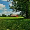 Typical southern Minnesota
scene.
Watonwan County.