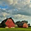 Southern Minnesota farmstead.
Near Truman, MN.