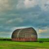 Quonset style barn.
Faribault County, MN.