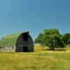 1928 Quonset style barn.
Yellow Medicine County, MN.