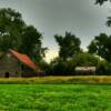 Abandoned barn & farm buildings.
Western Minnesota.