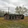 Another view of this 
1950's hen house.
