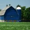 Unique Blue stable barn.
Near Fairbault, MN.