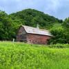 A beautifully abandoned old barn.
Southeast Minnesota.