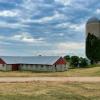 An overcast July afternoon.
Western Hennepin County.